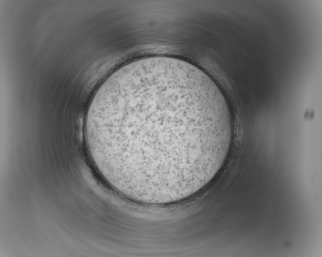 X0000114020014200910231847