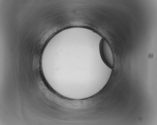 X0000114020015200910231847