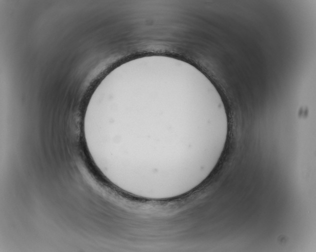 X0000114020016200910231847