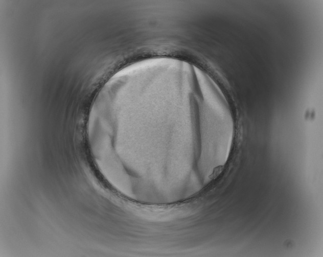 X0000114020018200910231847