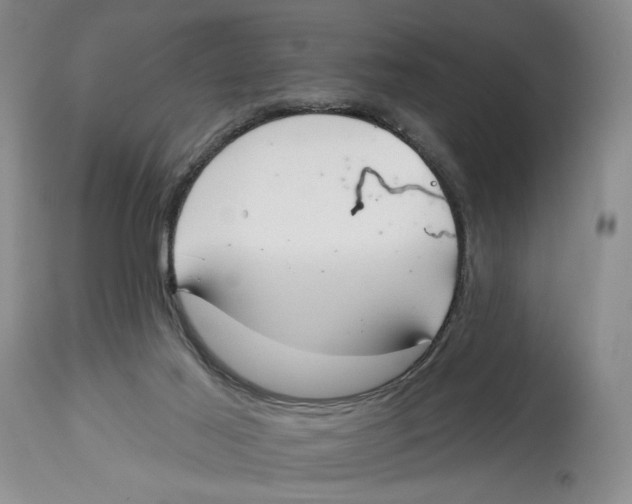 X0000114020021200910231847