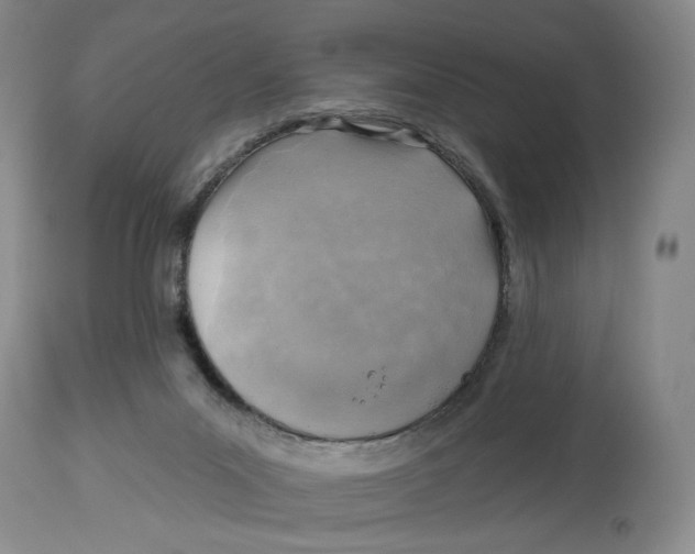 X0000114020023200910231847