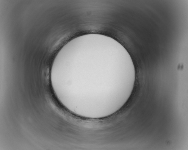 X0000114020024200910231847