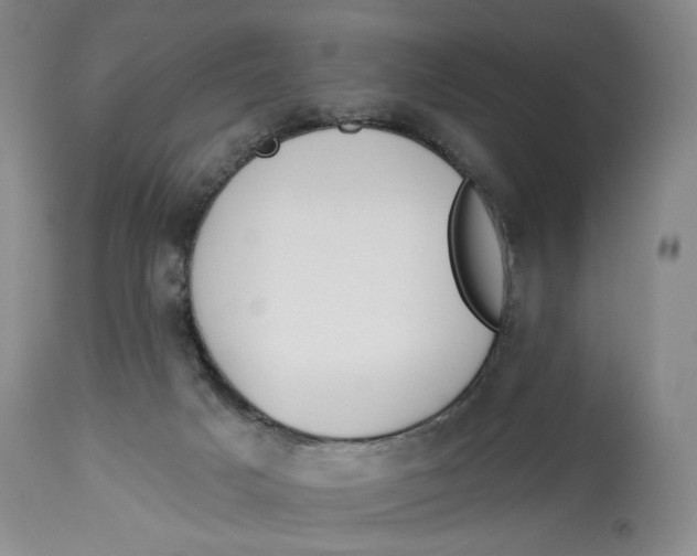 X0000114020025200910231847