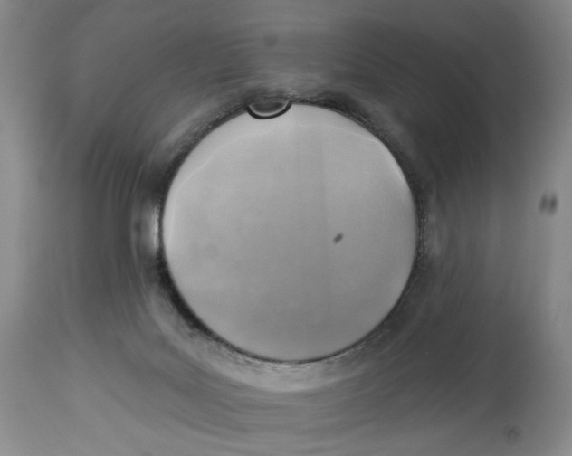 X0000114020027200910231847