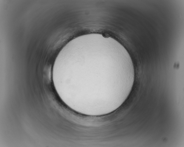 X0000114020028200910231847