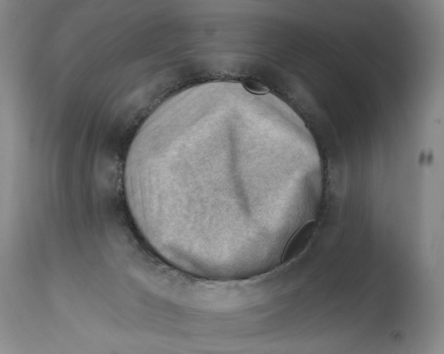 X0000114020029200910231847