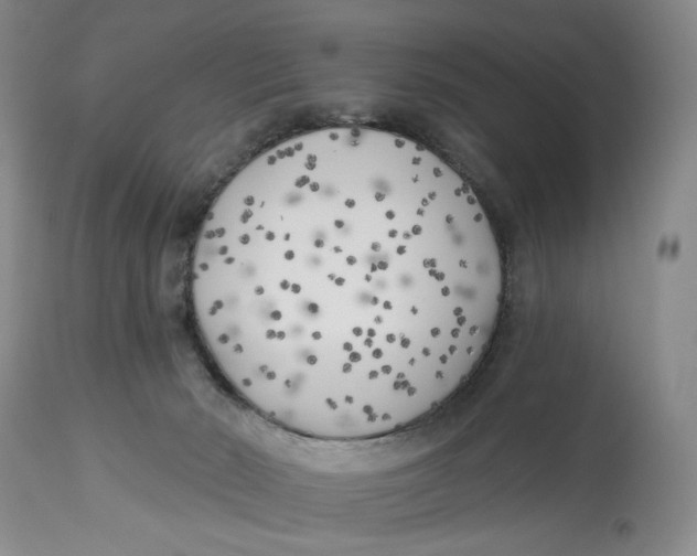 X0000114020030200910231847