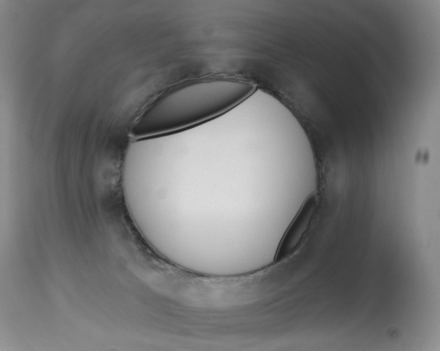 X0000114020033200910231847