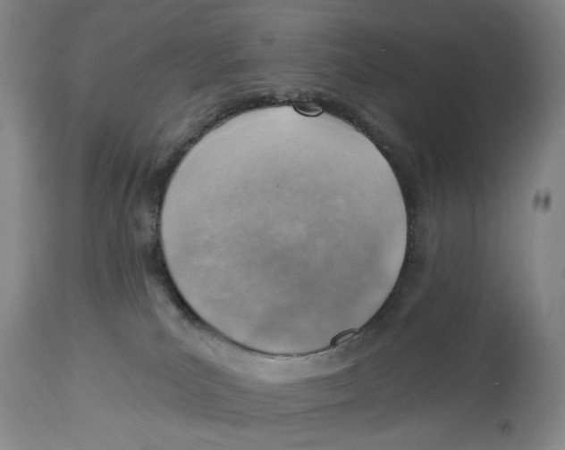 X0000114020039200910231847