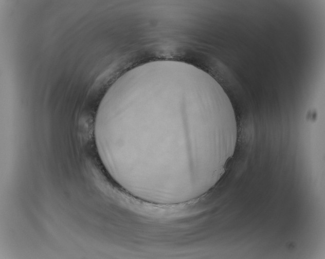 X0000114020043200910231847