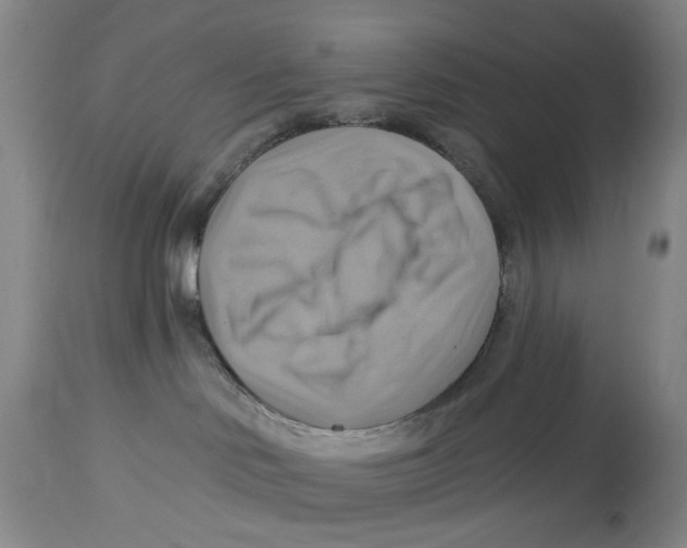 X0000114020046200910231847