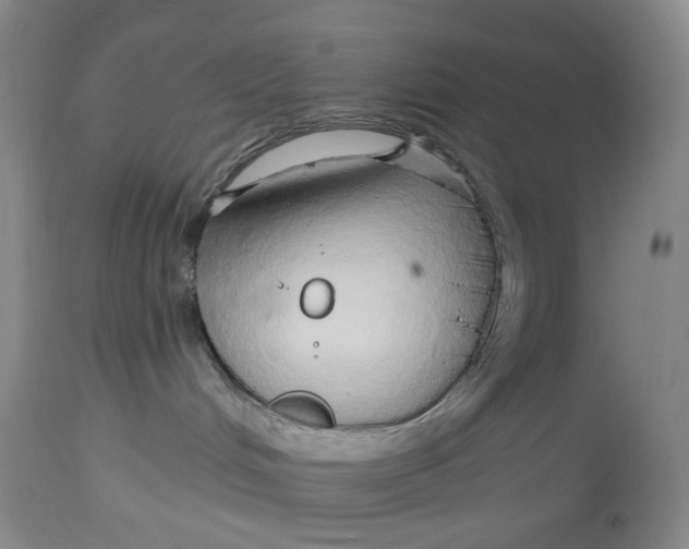 X0000114020048200910231847