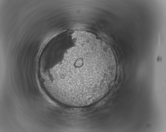 X0000114020049200910231846