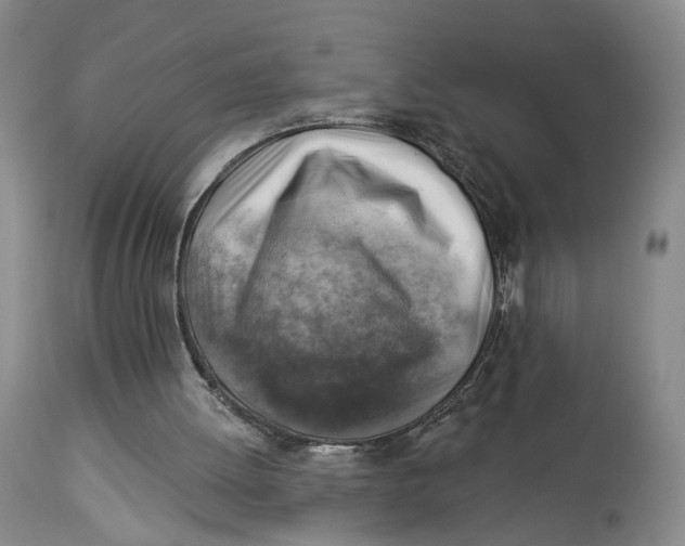 X0000114020052200910231846