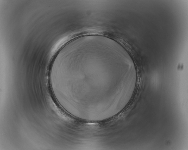 X0000114020053200910231846