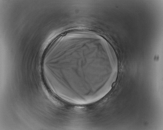 X0000114020055200910231846