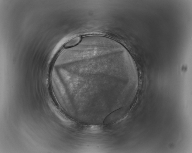 X0000114020056200910231846