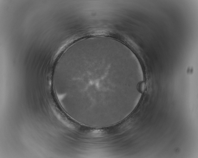 X0000114020059200910231846