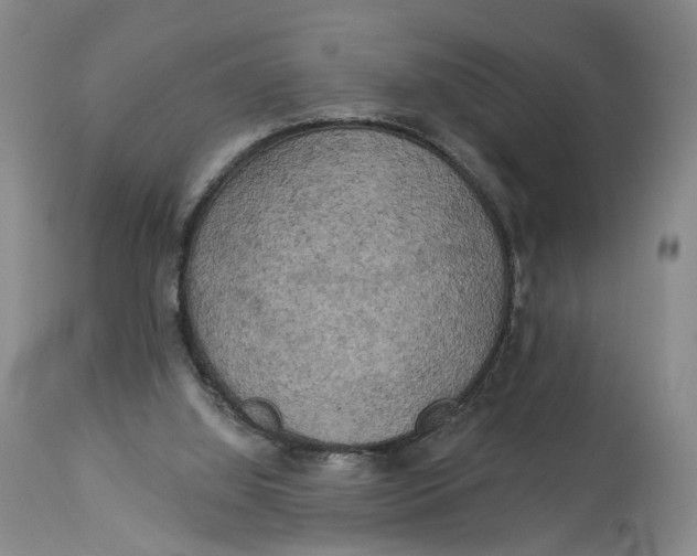 X0000114020060200910231846