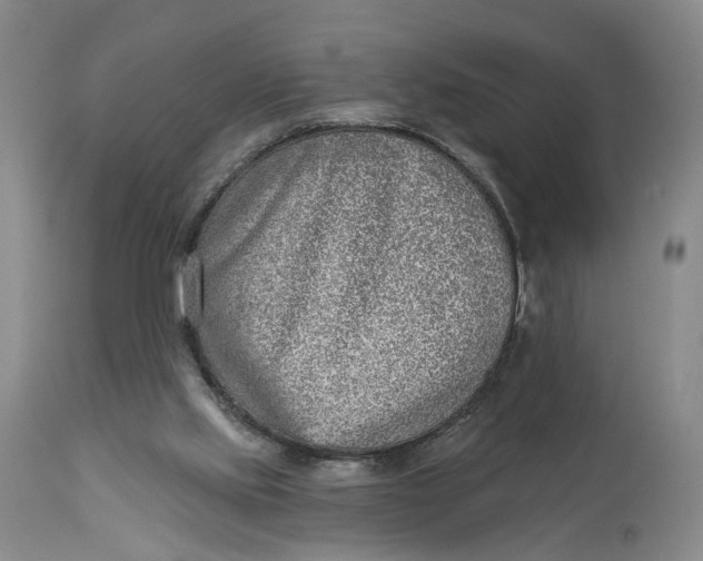 X0000114020061200910231846