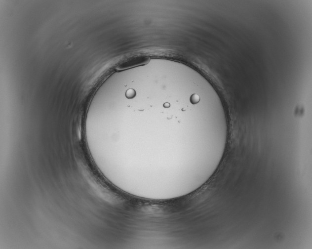 X0000114020062200910231846