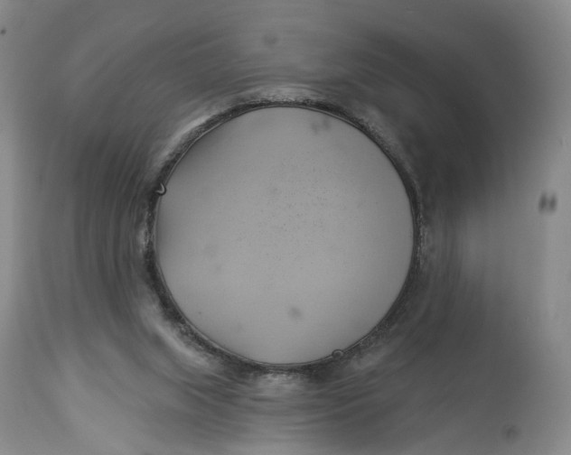 X0000114020063200910231846