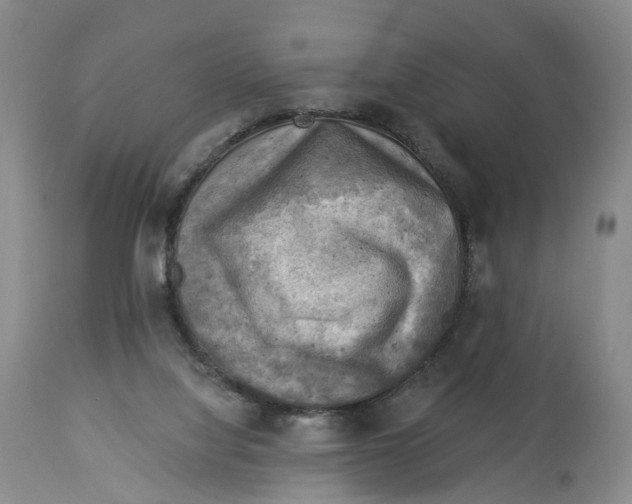 X0000114020068200910231846