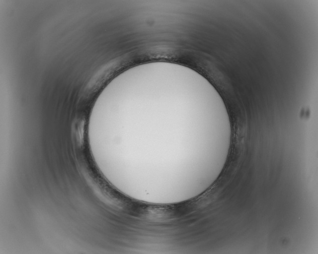 X0000114020070200910231846