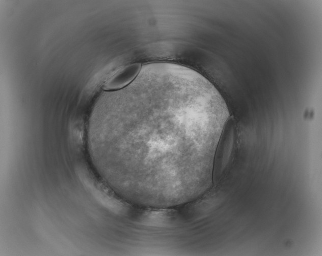 X0000114020072200910231846