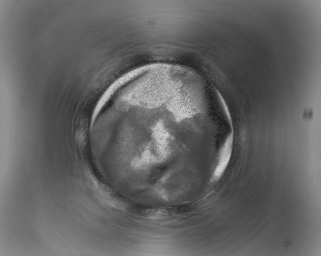 X0000114020074200910231846