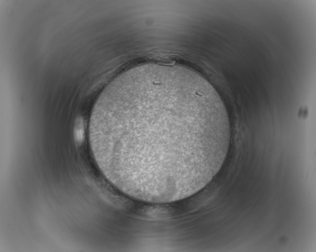 X0000114020075200910231846