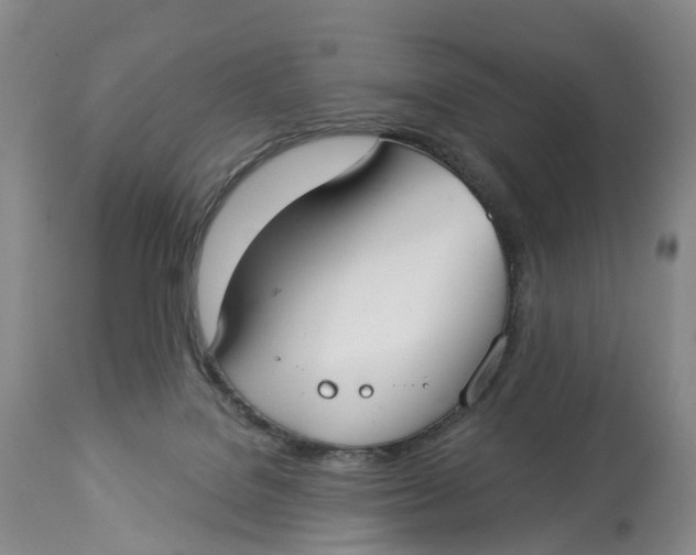 X0000114020076200910231846