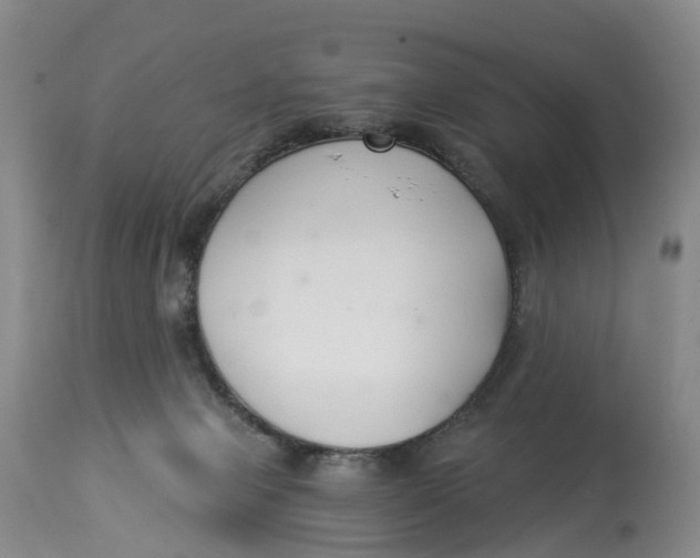 X0000114020077200910231846