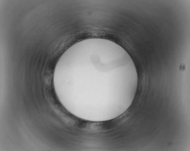 X0000114020078200910231846