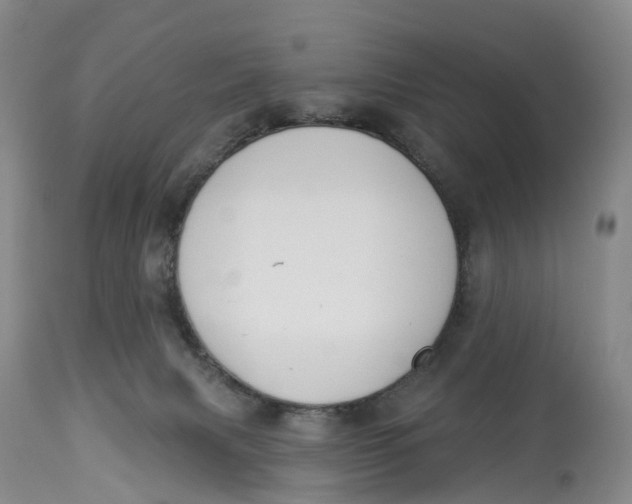 X0000114020079200910231846