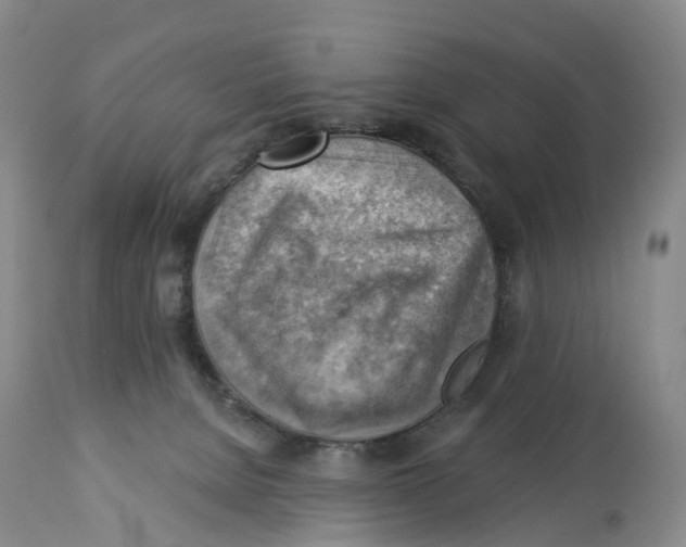 X0000114020080200910231846