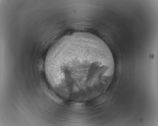 X0000114020081200910231846