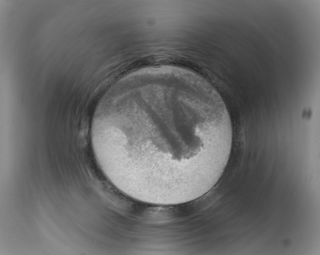 X0000114020082200910231846