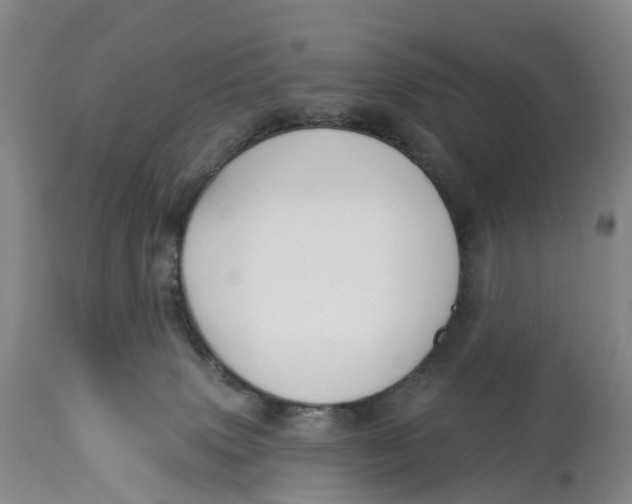 X0000114020083200910231846