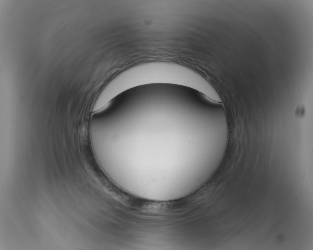 X0000114020084200910231846