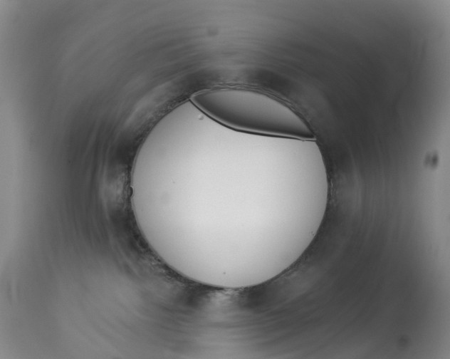 X0000114020092200910231847