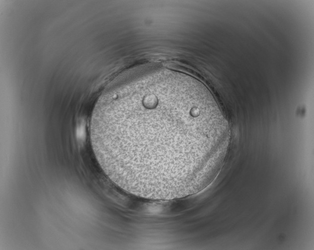 X0000114020094200910231847