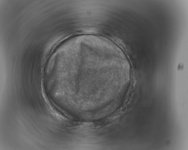 X0000114020097200910231846