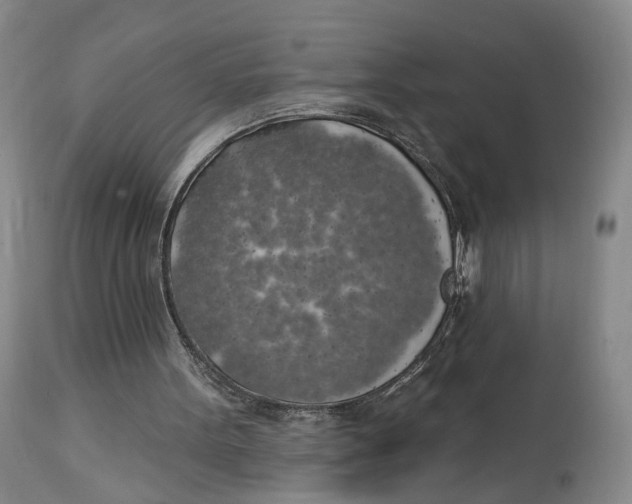 X0000114020099200910231846