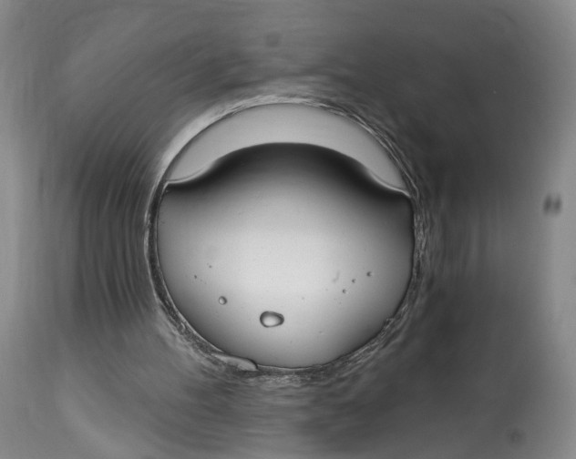 X0000114020100200910231846