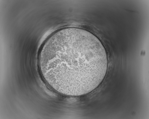 X0000114020102200910231846