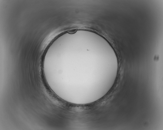 X0000114020103200910231846