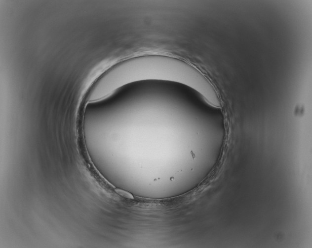 X0000114020104200910231846