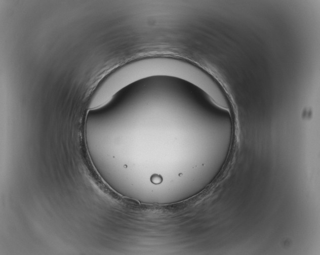 X0000114020105200910231846